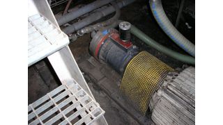 Die dichtungslose Pumpe Hydra-Cell G35 fördert Leim mit 100 l/min bei 80 bar im Dauerbetrieb.  Bild: Wanner (Archiv: Vogel Business Media)