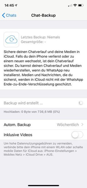 iCloud unterstützt auch die Datensicherung von externen Apps – hier die Chatverläufe und Medien aus Whatsapp. (Apple)