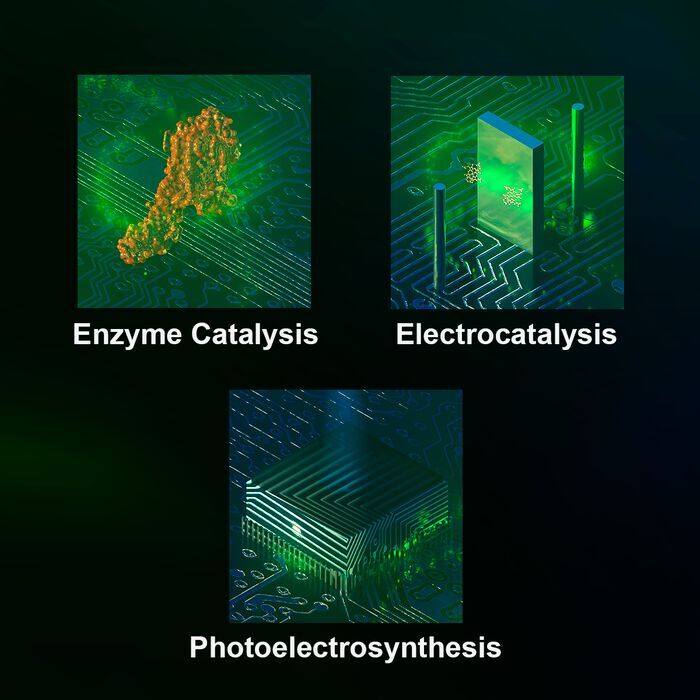 The three forms of catalysis described in the new study: Enzyme Catalysis, Electrocatalysis and Photoelectrosynthesis.