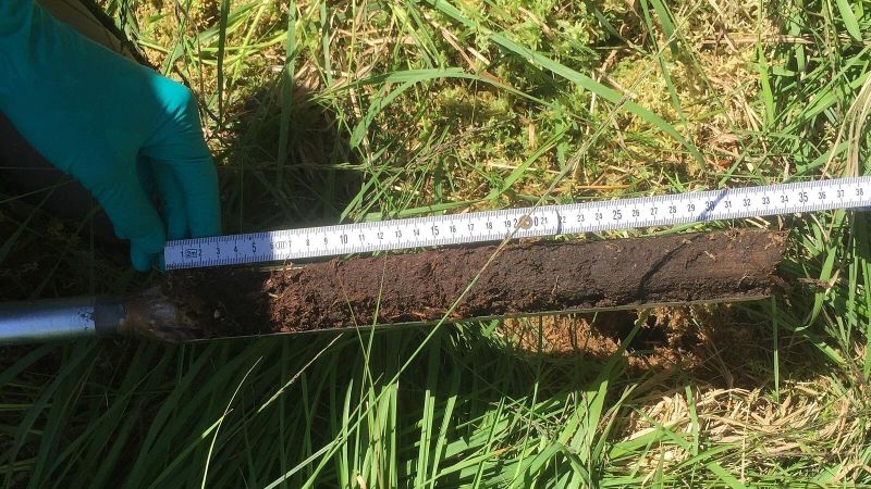 Probe aus dem Schlöppnerbrunnen-Moor in Bayern. In solchen Proben suchten die Forschenden nach neuen Wirkstoffen, die von Mikroorganismen im Moor produziert werden. (Bild:  FSU / Kirsten Küsel)