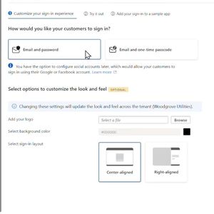 Anpassen der Anmeldungen in Microsoft Entra External ID.(Bild:  Microsoft | Joos)