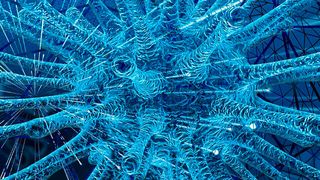 Die Corona-Pandemie offenbart die Bedeutung resilienter – aber auch nachhaltiger - Lieferketten. (Bild: gemeinfrei)