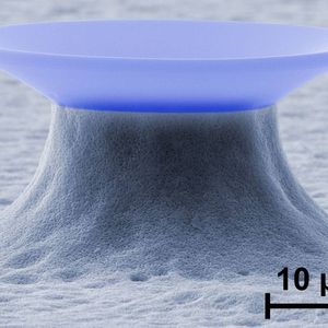 Aufnahme eines Mikrokelch-Resonators mit dem Rasterelektronenmikroskop. 