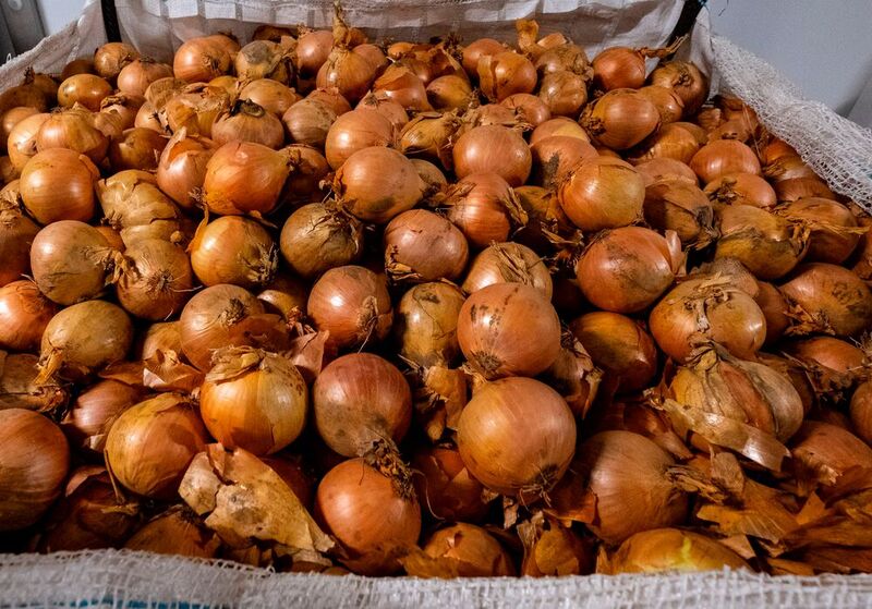 Zwiebeln sind ein typischer Vertreter für Gemüse, dass vorbereitet in den Großhandel und die Lebensmittelverarbeitung geht.