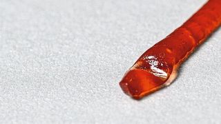 Regenwürmer sind immer sauber, selbst wenn sie aus noch so feuchter, klebriger Erde kommen – das soll der künstliche Wurm auch können.  (INM/Iris Maurer)