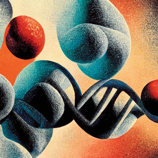 Illustration von Nanopartikeln, die aus einem Goldkern und einer Hülle aus Platin bestehen. Sie wirken als Signalverstärker, um mit CRISPR/Cas Enzymen Nukleinsäuren zu ermitteln. Illustration von Nanopartikeln, die aus einem Goldkern und einer Hülle aus Platin bestehen. Sie wirken als Signalverstärker, um mit CRISPR/Cas Enzymen Nukleinsäuren zu ermitteln.