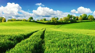 Grüne Wiese als Chance: neu anfangen, neue Wege gehen (© Smileus - stock.adobe.com)