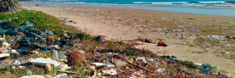 Plastic pollution has been identified as an environmental problem similar in scope and complexity as global challenges like climate change. Plastic pollution has been identified as an environmental problem similar in scope and complexity as global challenges like climate change.
