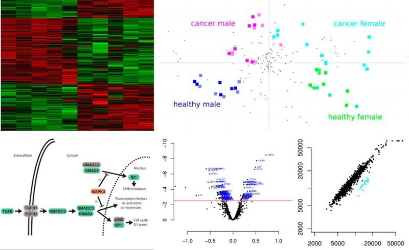 Sciomic bietet hochparallele Proteinanalytik mithilfe von Microarrays. Mit der Technik lassen sich grundlegende Mechanismen verschiedener Krankheiten untersuchen, z. B. Krebs, neurologische Störungen und Organversagen. So können neue Diagnosewege für die Pecision Medicine entwickelt werden. (Sciomics)