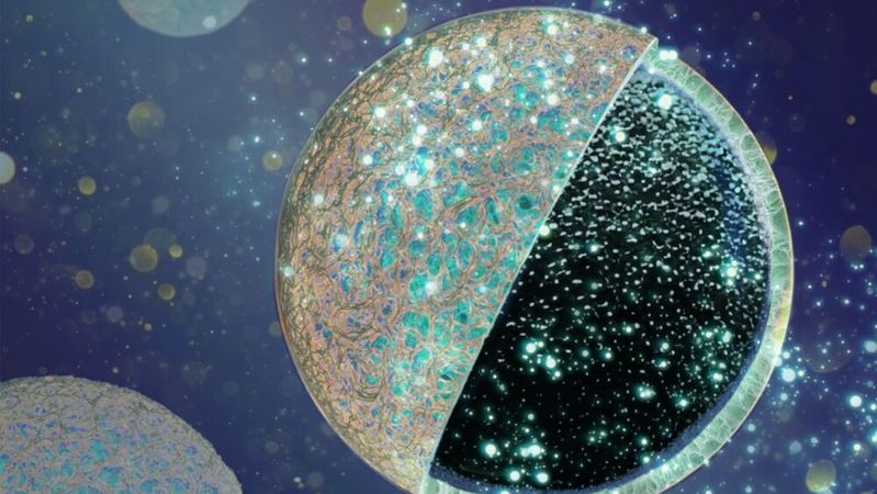 Natrium-Ionen-Batterien eignen sich als Alternative zu Lithium-Ionen-Batterien, doch hohe Speicherverluste beim ersten Ladezyklus hemmen deren Entwicklung. Die BAM hat hierfür ein neues Kern-Schale-Design für Anoden entwickelt.(Bild:  BAM)