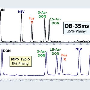 Abb.1: Absicherung von fünf B-Trichothecenen als TMS-Derivate durch optimierte Auftrennungen mit zwei Phasen.