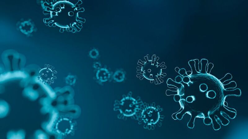Researchers at Karolinska Institutet are on track to produce a vaccine against the new coronavirus. (Karolinska Institutet)