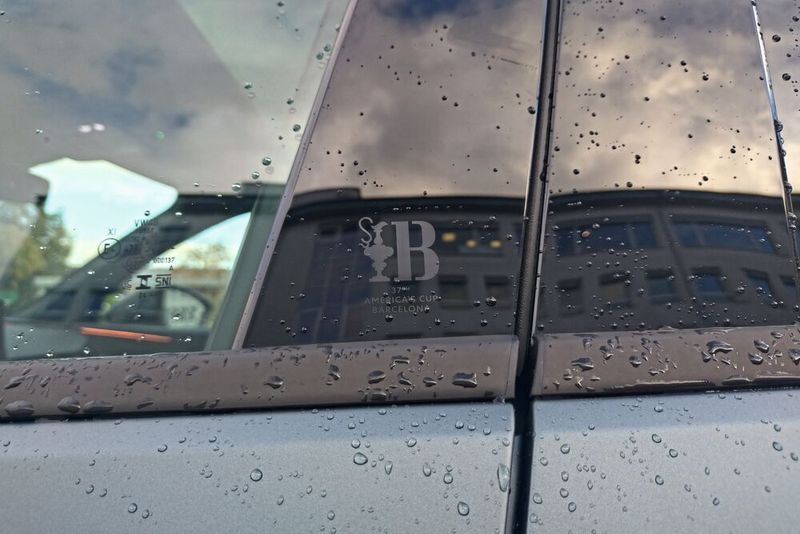 Das America's-Cup-Logo der Sonderedition ist dezent auf die B-Säule gelasert. (Bild: Sven Prawitz/Vogel Communications Group)