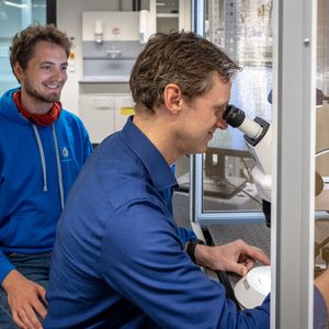 Forscher haben sehr feine, flexible Elektroden entwickelt, die sich bei Kontakt mit Feuchtigkeit von selbst falten. Am Mikroskop: Prof. Dr. Bernhard Wolfrum, Professur für Neuroelektronik. Hinten: Lukas Hiendlmeier, der im Rahmen seiner Doktorarbeit dazu forscht.(Bild:  Andreas Heddergott / TU München)