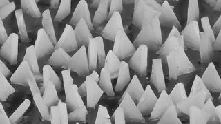 Das Besondere am Hochleistungs-Schleifmittel Victograin ist die nahezu gleichmäßige Größe der dreieckig ausgeformten Schleifkörner. Sie sind auf ihrem Träger so platziert, dass sie einen maximalen Spanraum bilden und kaum verschleißen, heißt es. (Bild: Pferd)