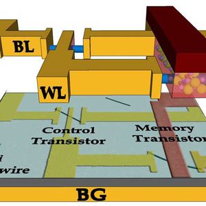 Schematische Darstellung eines Ferroelectric Transistor RAM (FeTRAM). Silizium-Nanodrähte werden mit einem ferroelektrischen Polymer kombiniert, dessen Polarität wechselt, wenn einelektrisches Feld angelegt wird.