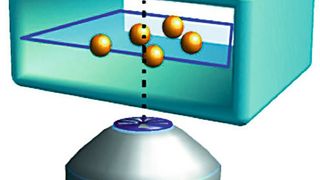 Die besondere Anordnung der mikrofluidischen Kanäle erlaubt es, alle Partikel in der Fokusebene auszurichten. (A. Kleiber/Leibniz-IPHT)