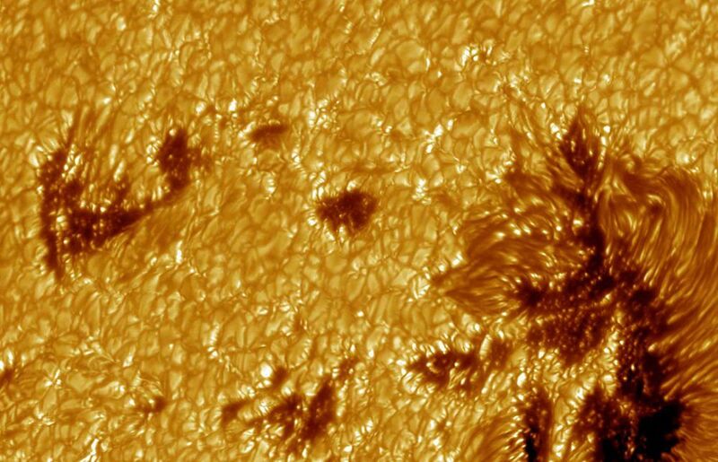 Sonnenflecken sind der sichtbarste Effekt der magnetischen Aktivität. Da sie kälter sind als die sie umgebende Photosphäre, erscheinen sie auf dem Bild dunkel. Aufgenommen am Schwedischen Solarteleskop. (Bild: Mikrotron)