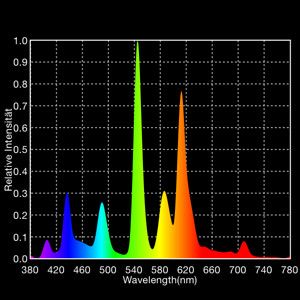 Die Verteilung der Wellenlängen bei einer T8-Leuchtstoffröhre. ( Osram Opto Semiconductor)