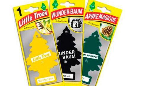 In Europa tragen die „Little Trees“ unterschiedliche Namen. Weit verbreitet ist auch der Name „Wunder-Baum“. (Bild: Little Trees)