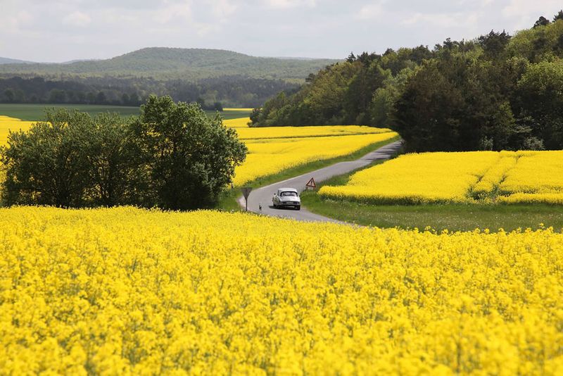 Fahren wie Gott in Franken: Blühende Landschaften gibt‘s nicht nur im Osten! (Archiv: Vogel Business Media)