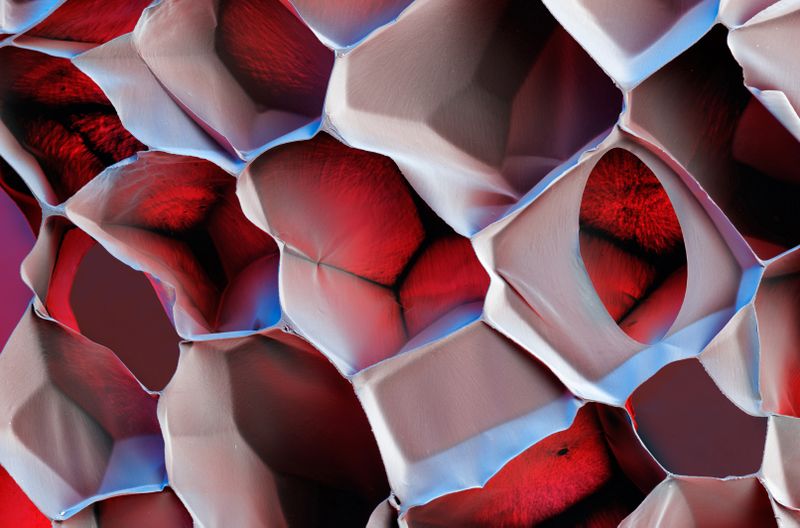 E-por verträgt auch häufige Stöße: Die 200 bis 400 Mikrometer großen, luftgefüllten Zellen des Schaumstoffes puffern die bei einem Sturz oder Stoß entstehende Energie ab. So kommen in E-por verpackte Elektronikgeräte sicher an. Vergrößerung 50:1 (bei 12 cm Bildbreite). (Bild: BASF)