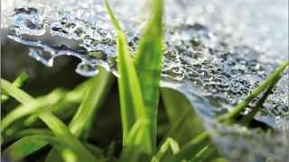 SCHLICK_Mulitspray-Technik.jpg (Düsen-Schlick GmbH)