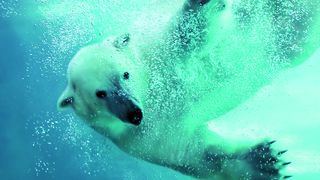 Fotolia_34387046_M.jpg (Van der Heijden Labortechnik GmbH)