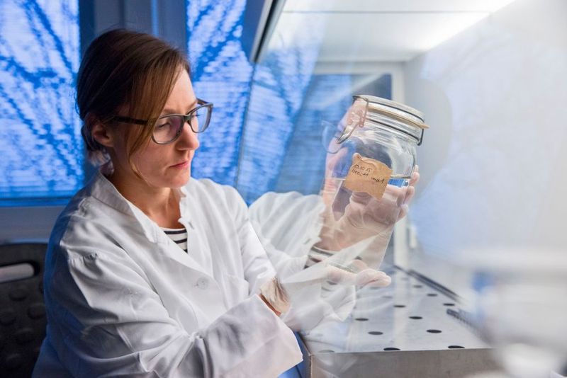 AWI scientist Julia Gütermann is analysing a seawater sample for microplastic particles in a lab at AWI Helgoland. (Alfred-Wegener-Institut / Tristan Vankann)