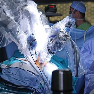 (©Master Video - stock.adobe.com)