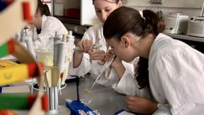 Beim Experiment ist Präzision gefragt: Die Schülerinnen pipettieren ihre Proben. (Bild: © Gläsernes Labor)