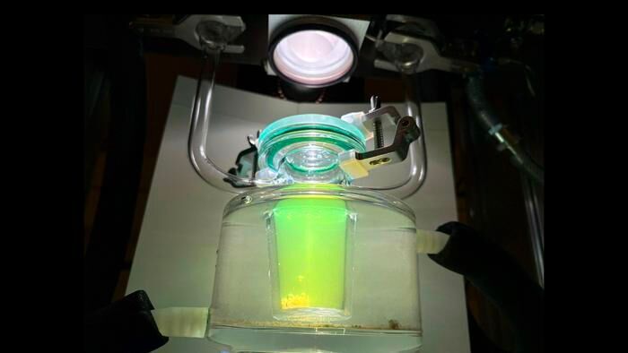 New research advances open the door to efficient hydrogen production from solar energy – without using the scarce metal platinum. (Source:  Chalmers University of Technology/ Mia Halleröd Palmgren)