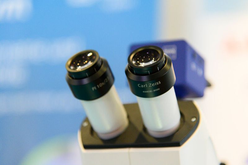 ... über die Mikroskopie, ...    Mehr Infos zu den kommenden LAB-SUPPLY-Messen finden Sie auf www.lab-supply.info (Bild: Stefan Stark)