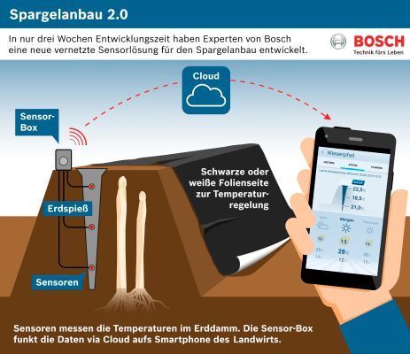Spargelanbau 2.0 - Bosch schafft in nur drei Wochen neue Sensorlösung: Experten von Bosch haben eine neue vernetzte Sensorlösung für den Spargelanbau entwickelt. Damit lässt sich die Temperatur in den Erddämmen mit dem begehrten Gemüse auf das Smartphone übertragen. So können Landwirte den Temperaturverlauf im Detail verfolgen. Das trägt dazu bei, optimale Wachstumsbedingungen zu schaffen. (Bild: Bosch)