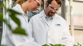 BASF hat den Erwerb des globalen Gemüsesaatgutgeschäfts von Bayer, das vor allem unter der Marke Nunhems geführt wird, abgeschlossen.  (BASF SE)