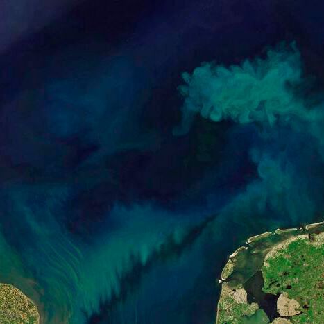 To track the changes in ocean color, scientists analyzed measurements of ocean color taken by the Moderate Resolution Imaging Spectroradiometer (Modis) aboard the Aqua satellite, which has been monitoring ocean color for 21 years. To track the changes in ocean color, scientists analyzed measurements of ocean color taken by the Moderate Resolution Imaging Spectroradiometer (Modis) aboard the Aqua satellite, which has been monitoring ocean color for 21 years.