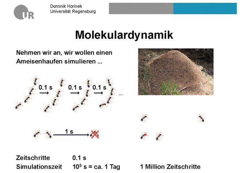 Abbildung 11: Professor Dr. Dominik Horinek vom Institut für Physikalische und Theoretische Chemie, erläutert, warum Zeiteinheiten eine entscheidende Rolle spielen und was dabei an Datenmengen anfällt. (Bild: Universität Regensburg)