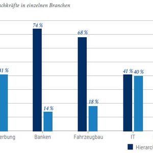 Die Einschätzung der Organisationsstruktur der Unternehmen nach Branchen: Banken und Öffentlicher Dienst sind stark hierarchisch geprägt. Flache Strukturen findet man in der Werbe- sowie in der IT-Branche.(Bild:  Stepstone/Kienbaum)