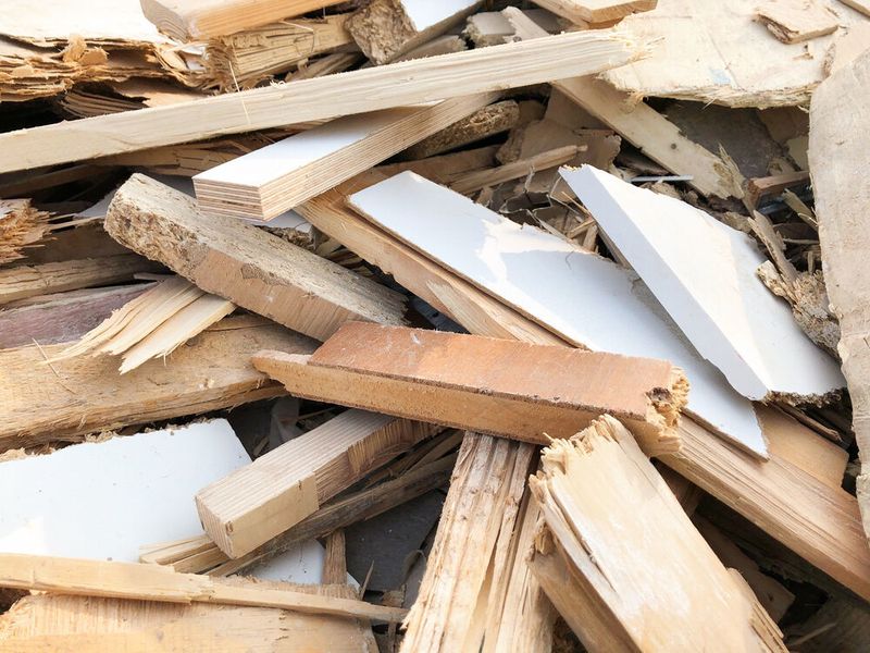 Aus Holzabfällen sollen im Projekt H2 Wood – Black Forest Biowasserstoff und biobasierte Koppelprodukte entstehen. (Leins Aktenvernichtungsgesellschaft/ Jochen Weiblen)