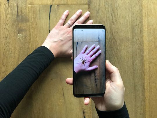 Mit der App „Phobys“ können Menschen mit Spinnenphobie die Begegnung mit einer virtuellen Spinne trainieren.(Bild:  © Universität Basel, MCN)