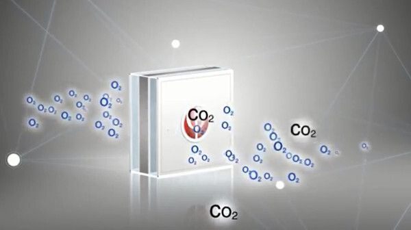 Die Struktur der Phinergy-Luftelektrode ermöglicht es Sauerstoff einfach in die Zelle zu gelangen, während CO2 abgeblockt wird. (Phinergy)