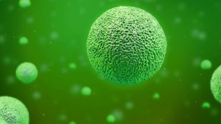 Abb. 1: Zellen sind vielgestaltig und ebenso die Matrizes, in denen sie zu bestimmen sind. Im Bild: Illustration einer mirkroskopischen Darstellung. (©Ivanc7 - stock.adobe.com)