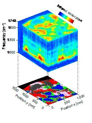 Nanoscale-resolved hyperspectral infrared data cube of a polymer blend, comprising 5000 nano-FTIR spectra (top panel). The data cube can be divided into clusters (by hierarchical cluster analysis) and thus converted into a compositional map (bottom panel). It reveals the polymer components (grey, blue and red areas), as well as the interfaces between them (green areas) that partially exhibit anomalies that are explained by chemical interaction (purple areas). (CIC nanoGUNE)