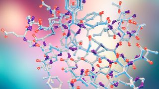Modell des Insulinmoleküls (©Kateryna_Kon - stock.adobe.com)