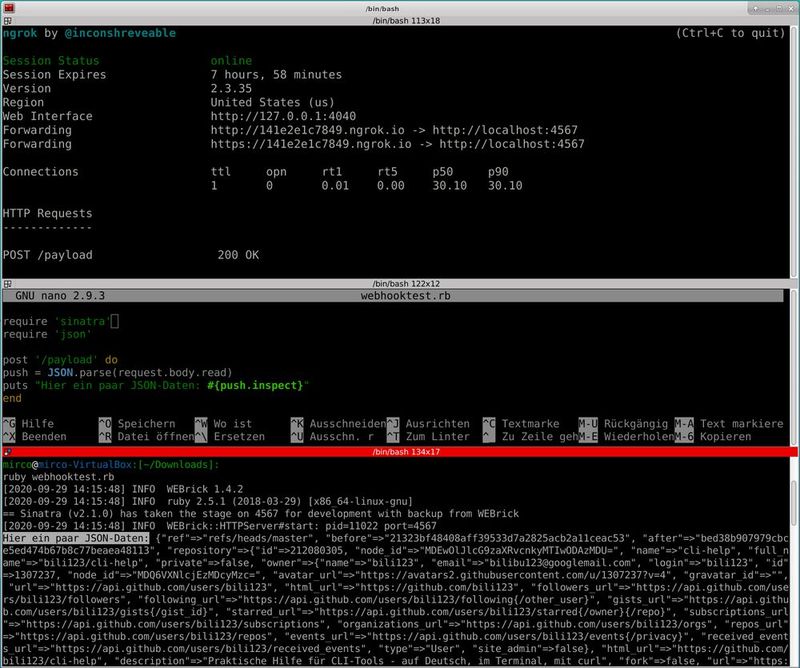 ngrok, der Sinatra-Code und der laufende Sinatra-Server – eigentlich simpel.