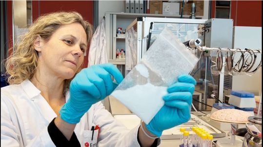 Tina Bürki und ihr Team erforschen, wie der Schutzmechanismus der Plazentaschranke mit Nanopartikeln zurechtkommt.(Bild:  Empa)
