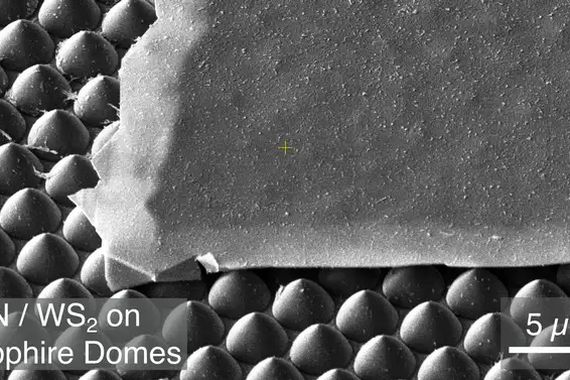 2D-Materialien: Ein Fall für Frischhaltefolie


Die modernen Materialwissenschaften arbeiten mit immer dünneren Schichten – mittlerweile bis zur Dicke einzelner Atome. Solche 2D-Materialien zeigen aufgrund der Quantenmechanik bemerkenswerte Eigenschaften, doch sie neigen auch zu Beschädigungen. 
Die traditionelle Herstellungsmethode der letzten 22 Jahre – mit gewöhnlichem Klebeband – erzeugt winzige Risse und Bruchstücke von 2D-Materialien. Ein 2018 entwickeltes Verfahren mit Goldfolien ermöglichte zwar größere Schichten, scheiterte aber bei strukturierten Oberflächen mit Mustern oder Beschichtungen.
Jetzt hat ein Amsterdamer Forschungsteam eine überraschend einfache Lösung gefunden: gewöhnliche Frischhaltefolie aus der Küche. Sie habe laut Forschern der Universität Amsterdam genau die richtigen Eigenschaften, um diese empfindlichen Materialien sanft und effektiv zu handhaben.
Die Rasterlektronenmikroskop-Aufnahme oben zeigt ein 2D-Material-Flöckchen auf einer spitzen Oberfläche.






Hier geht‘s zur Originalmeldung
Wissenschaftsbild des Tages vom 13.8.2026
 (Bild: UvA IoP)
