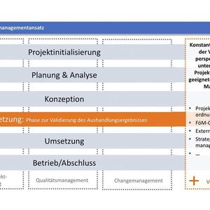 Föderaler Projektmanagementansatz mit Vernetzungsstrukturen