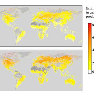 ((c) Mark Lee, Royal Botanical Gardens, Kew)
