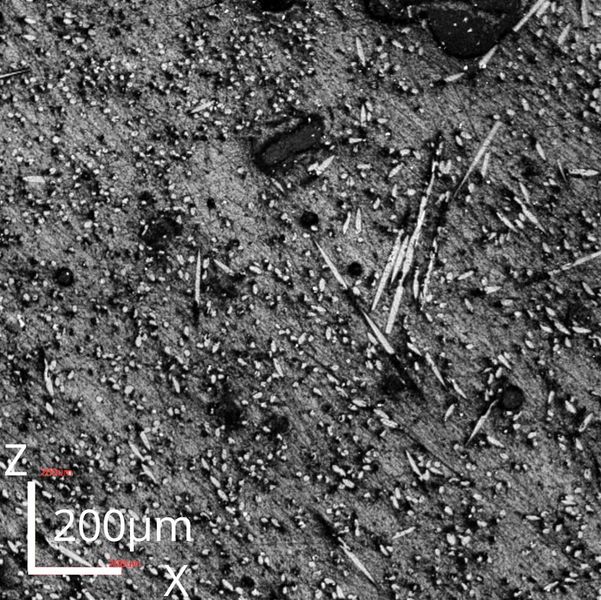 Konfokalmikroskopie-Aufnahme einer mit Voxelfill gedruckten Probe in XZ-Ebene.  (Bild: NEW AIM3D)